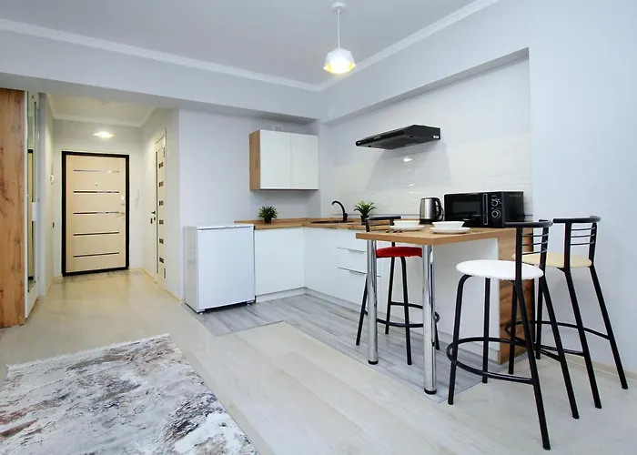 New And Cozy Studio In The Best Area! 4